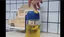 小熊（Bear）油壶厨房专用食品级 自动开合防漏不挂油油瓶油罐瓶酱油瓶调料瓶 实拍图