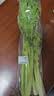 大芹菜约500g 实拍图
