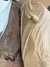 金雨保牛津布汽车车衣车罩防晒防雨隔热防尘加厚遮阳车套外全罩通用四季 人气热销【香槟咖】600D高密度牛津布+送收纳袋 双层加厚款*四季可用【防暴晒防雨抗大风】 实拍图