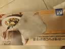 英科医疗一次性手套PVC100只中码12英寸加长食品级餐饮厨房防水家务清洁 实拍图