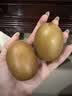 佳沛（zespri）新西兰金奇异果猕猴桃 5粒装 单果约88-103g 水果源头直发 实拍图
