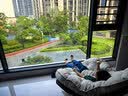 家逸摇摇椅懒人沙发午休躺椅客厅大人单人沙发椅阳台靠背休闲椅子 实拍图