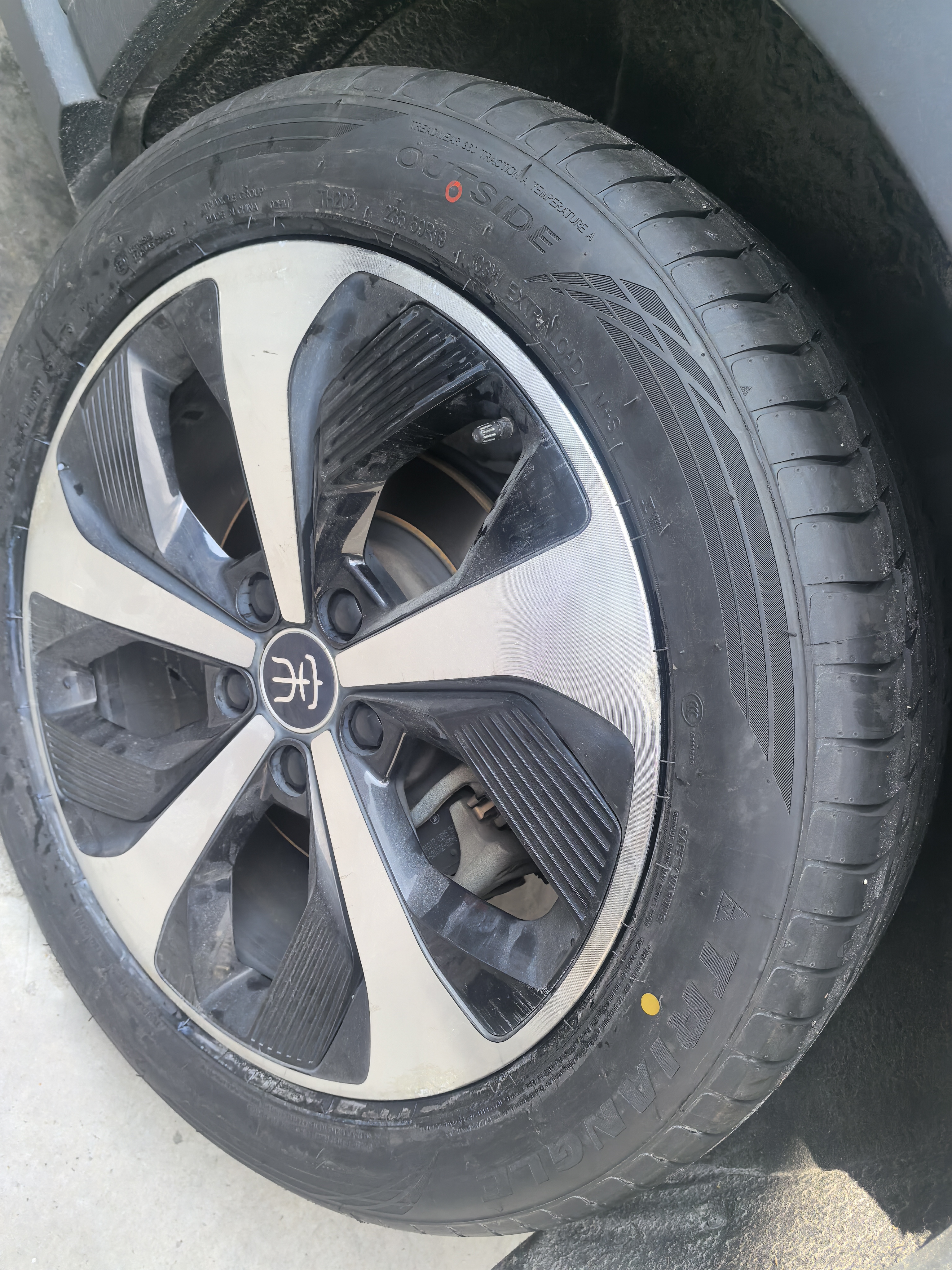 三角（Triangle）轮胎/新能源轮胎 235/50R19 103W TH202 适配昂科威 实拍图