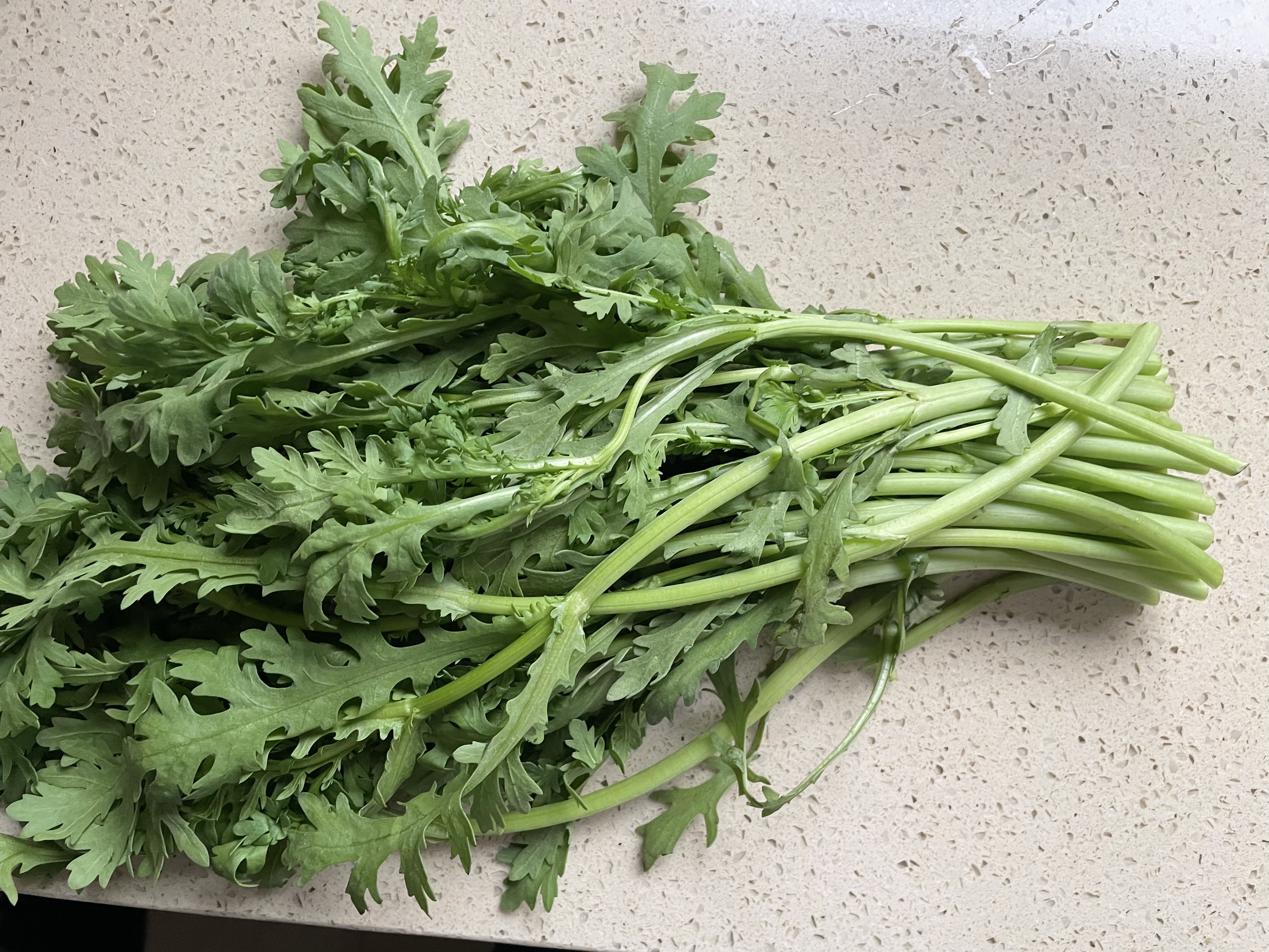 蒿子杆300g(茼蒿） 实拍图