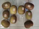佳沛（zespri）新西兰金奇异果12粒特大果124-146g猕猴桃水果礼盒 实拍图