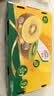 佳沛（zespri）金奇异果25-27粒原箱特大果124-146g猕猴桃水果礼盒 实拍图