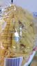 百味来Barilla进口宽卷形意大利面500g盒意面面条速食低脂高蛋白 实拍图