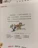 不一样的卡梅拉第八季注音版9-16（ 套装共8册）提升写作能力  3-8岁 实拍图