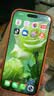 Apple/苹果iPhone 17 Pro Max 256GB 星宇橙色 移动联通电信5G双卡双待手机 送礼好物 实拍图