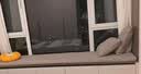 奇思妙想飘窗垫子定制高端窗台阳台坐垫可睡觉主卧室四季通用榻榻米可拆洗 咨询客服【专业定制】支持各种尺寸/高端飘窗3E椰棕芯 实拍图