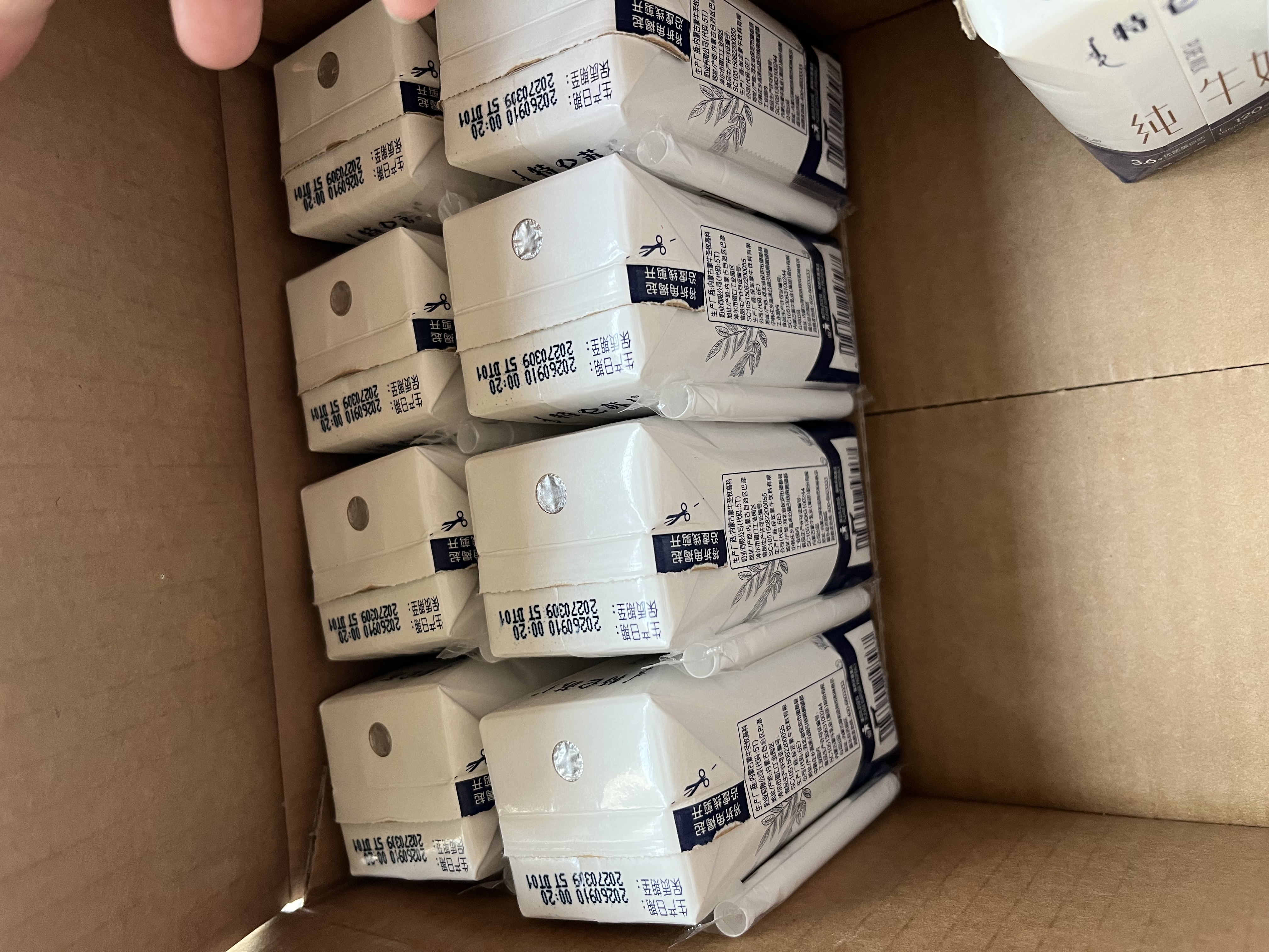 蒙牛特仑苏纯牛奶200mL*24盒 3.6g蛋白 家庭囤货整箱牛奶早餐奶  实拍图