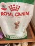 皇家狗粮成犬狗粮 犬粮 宠物小型犬PR27全价犬粮 ≥10月800g 实拍图