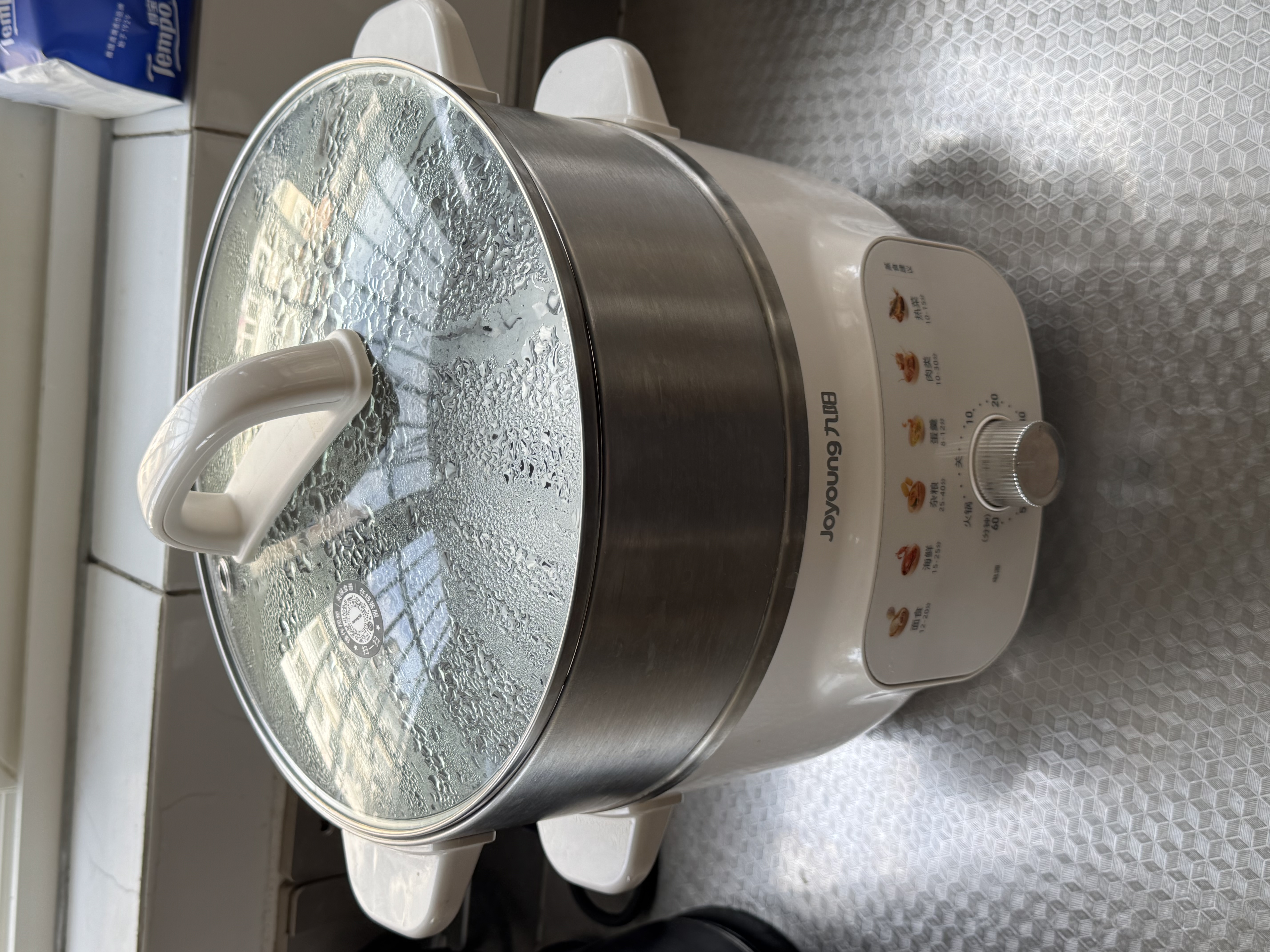 九阳（Joyoung）电蒸锅快速蒸汽电煮锅电火锅家用多功能蒸煮电热锅13L三层大容量0涂层不锈钢加大蒸笼蒸锅GZ162 实拍图