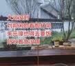 嘉华彩（JIAHUACAI）挂脖手机支架胸前固定支架第一视角拍摄设备抖音短视频直播vlog户外钓鱼骑行神器适用于苹果安卓 实拍图