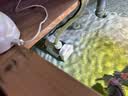 尼特利水族时光水泵低压变频蓝牙智控鱼缸潜水泵小型底吸水陆两用循环泵 22W（基础版）2500L流量+20档可调+24V低压 实拍图