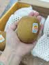 佳沛（zespri）新西兰金奇异果10粒巨大果146-175g猕猴桃水果礼盒 实拍图