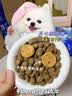 LEGENDSANDY蓝氏狗粮狗零食真鲜乳鸽冻干鲜肉犬粮尝鲜组合泰迪柯基 实拍图