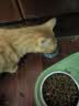 麦斯蒂主食猫罐头鸡肉金枪鱼85g*12罐 成幼猫湿粮鲜肉全价高营养 实拍图