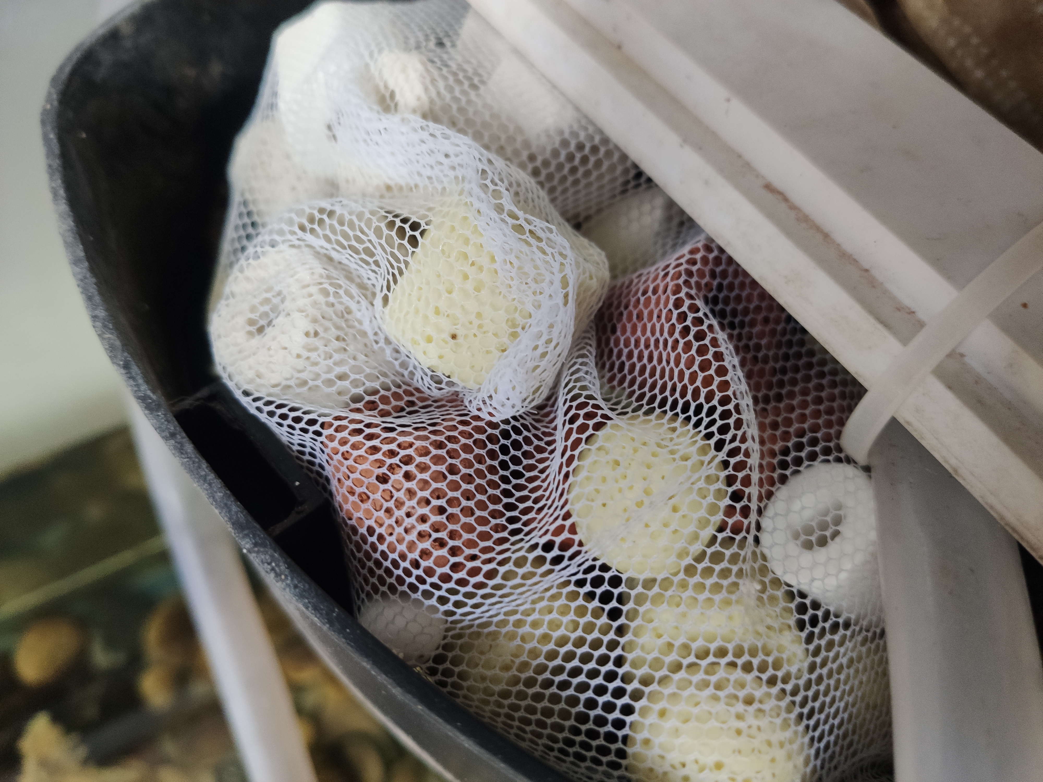 森森（SUNSUN）鱼缸过滤材料细菌屋玻璃环生化球麦饭石水族滤材过滤用品 7合1滤材500g【贈水质安定剂胶囊】 实拍图