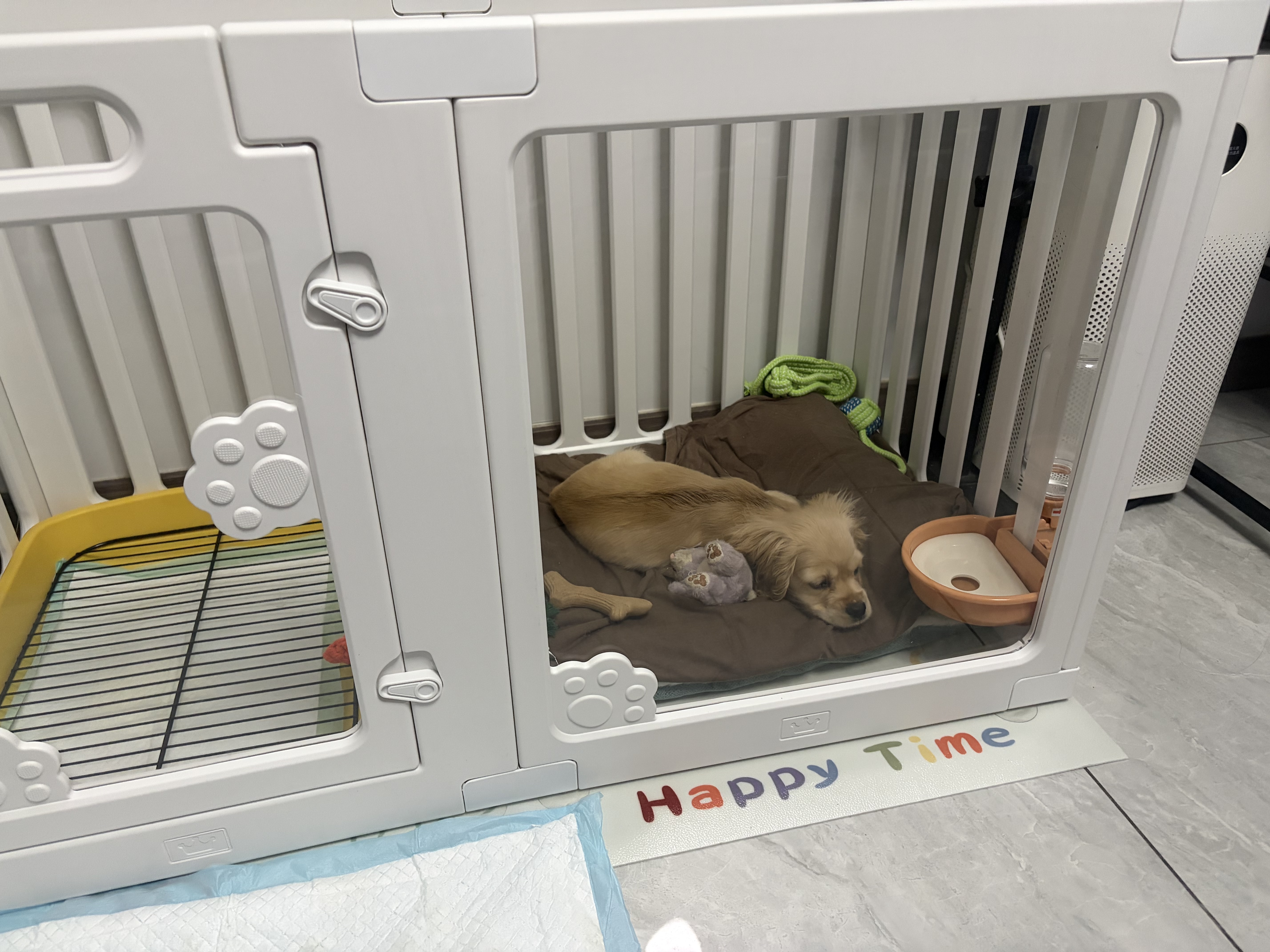 贝初众狗围栏室内宠物围栏狗笼子狗栅栏狗笼小中大型犬猫围栏狗笼折叠 半景透明-100*50*60cm【4片+2透明】 加重带吸盘 防推倒 简约大气 实拍图