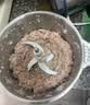 小熊（Bear）绞肉机家用小型 绞馅机 搅肉机 打蒜机电动 碎肉 辅食机 2026新款家用QSJ-E03C8 实拍图