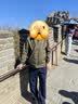 杉杉双11【高端纯棉】长袖t恤男士新款春秋纯色上衣服打底POLO衫男装 实拍图