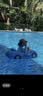 swimbobo儿童游泳圈 户外戏水宝宝坐艇 小孩玩水坐圈游泳装备K2003 实拍图