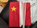 优和（UHOO）国庆小国旗手持小红旗手摇旗杆小五星红旗帜 7号100面带杆20*30cm送贴纸 户外儿童手拿小旗子带杆 实拍图