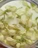 福东海特优级头茬茉莉花苞雪球25克 【去叶无熏染】横县原产养生茶泡水 实拍图