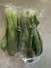 上海青约500g(油菜) 实拍图