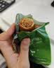 京东京造鱿鱼仔420g海味休闲零食即食小鱼干鱿鱼海鲜零食解馋 实拍图