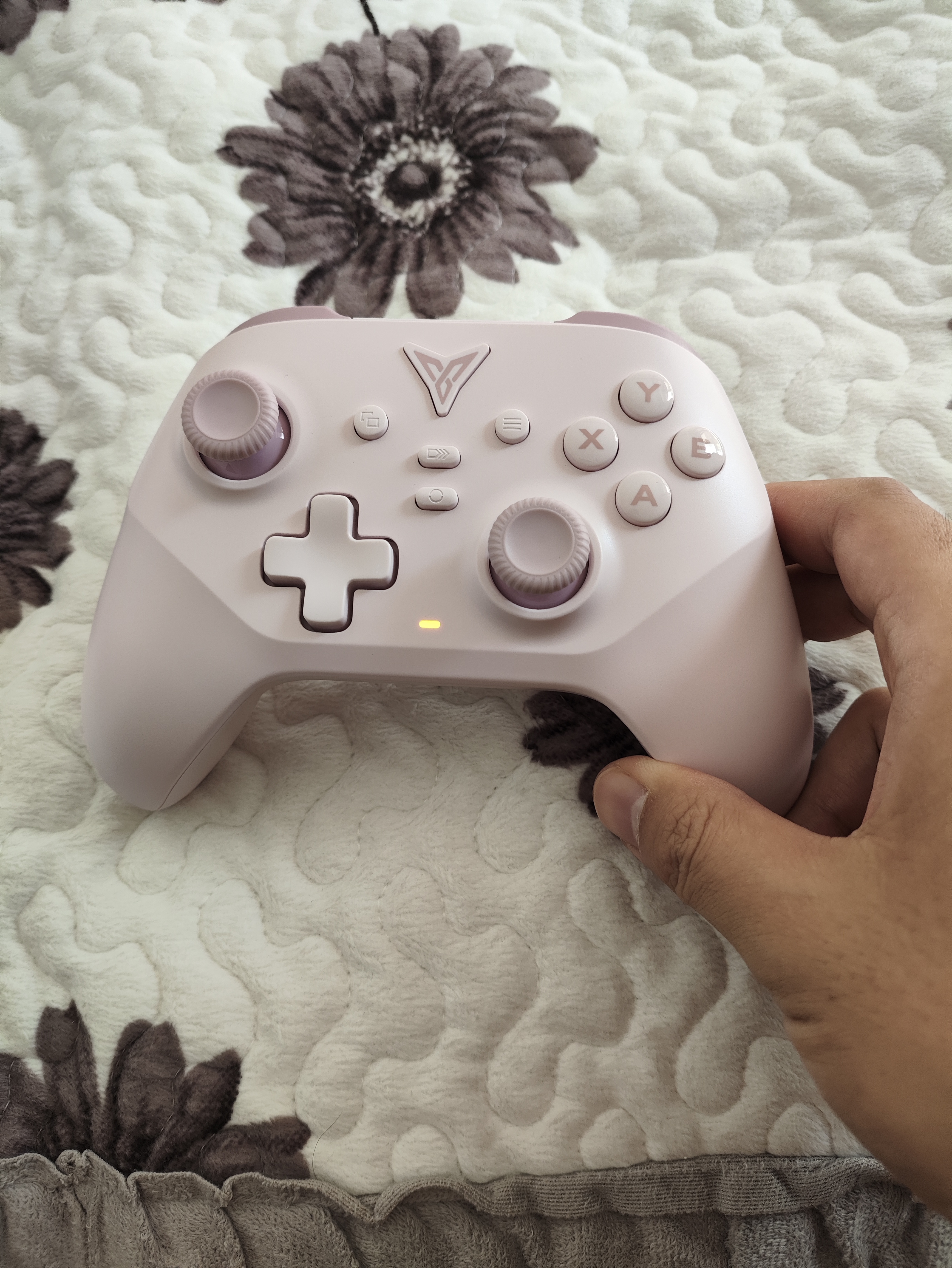 飞智沙漠狐 暮光粉 多模版无线游戏手柄 类xbox霍尔扳机switch2电脑PC手机steamNS 星露谷物语影之刃零 实拍图