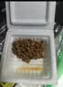 喜代美山大纳豆40g*16盒 日本原装进口北海道极小粒 纳豆即食激酶发酵菌 实拍图