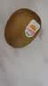 佳沛（zespri）新西兰金奇异果猕猴桃 5粒装 单果约88-103g 水果源头直发 实拍图
