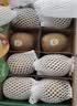 佳沛（zespri）新西兰金奇异果8粒特大果124-146g猕猴桃中秋节礼品送水果礼盒 实拍图