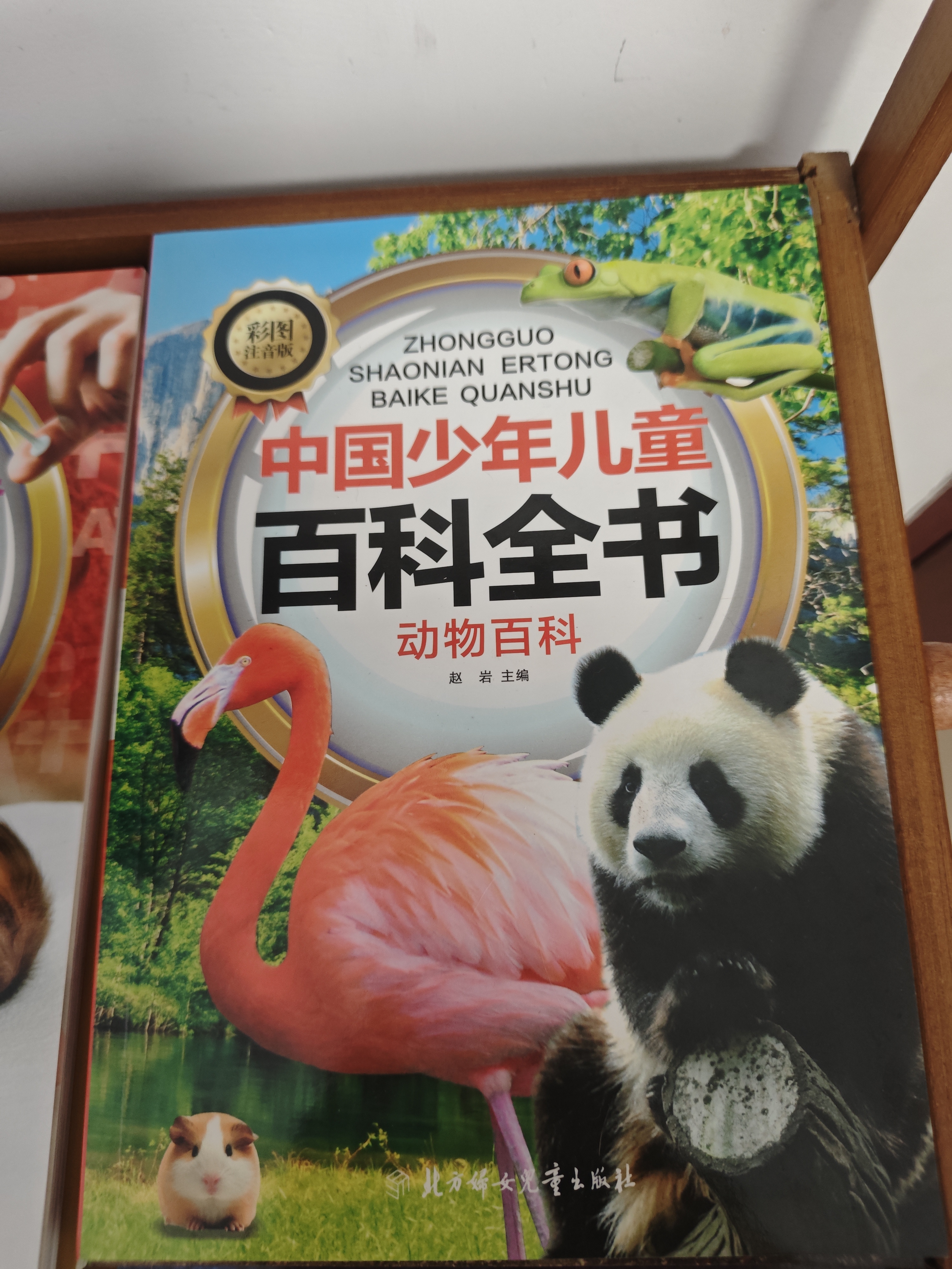中国少年儿童百科全书系列彩图注音版全套10册正版图书 小学生少儿十万个为什么科普类书籍 一二三年级课外阅读必读书单 趣味动物军事科技科学地理历史宇宙植物海洋太空大百科幼儿版儿童书  黑色星期五 晒单实拍图