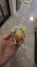无穷盐焗鸡蛋即食卤蛋休闲零食泡面搭档卤蛋486g共16小包 实拍图