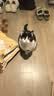 美滋元成猫猫粮 三文鱼味成猫粮全猫咪通用天然粮全价猫粮 三文鱼 成猫粮1.5kg 实拍图