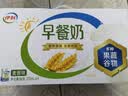伊利早餐奶核桃味 250ml*24盒 优选核桃早餐伴侣 礼盒装 实拍图