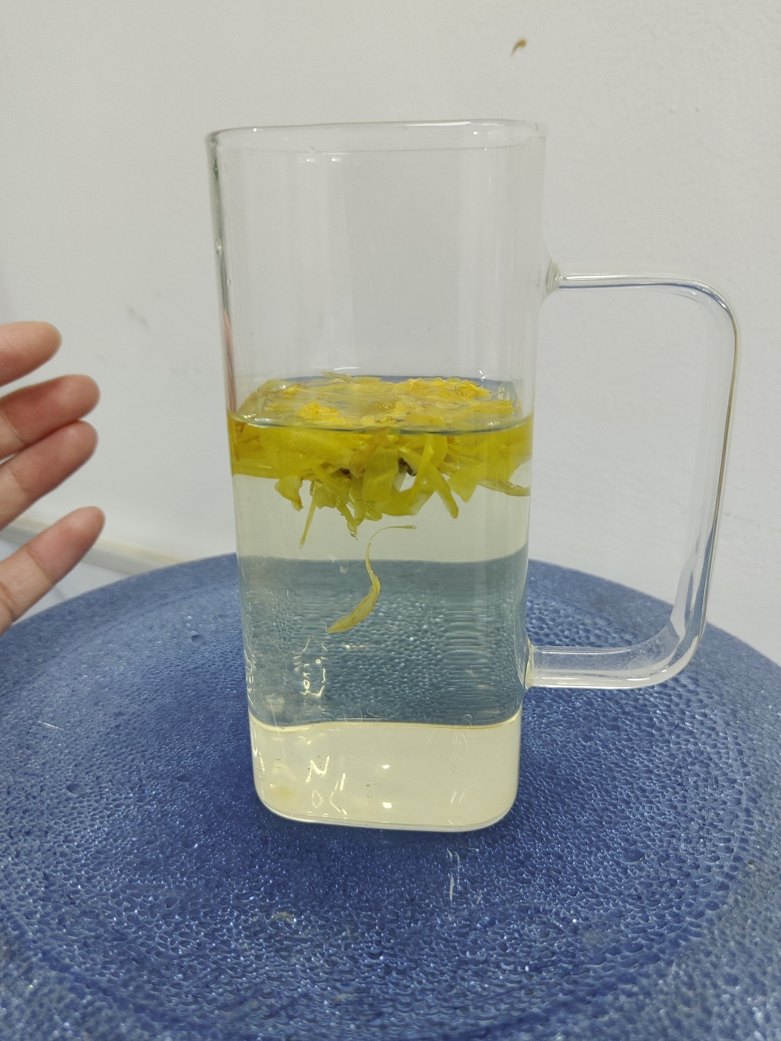 超级特大金丝皇菊大朵独立包装清热去火菊花茶一大杯正宗菊花茶 金丝皇菊 2g*2袋 独立包装 实拍图