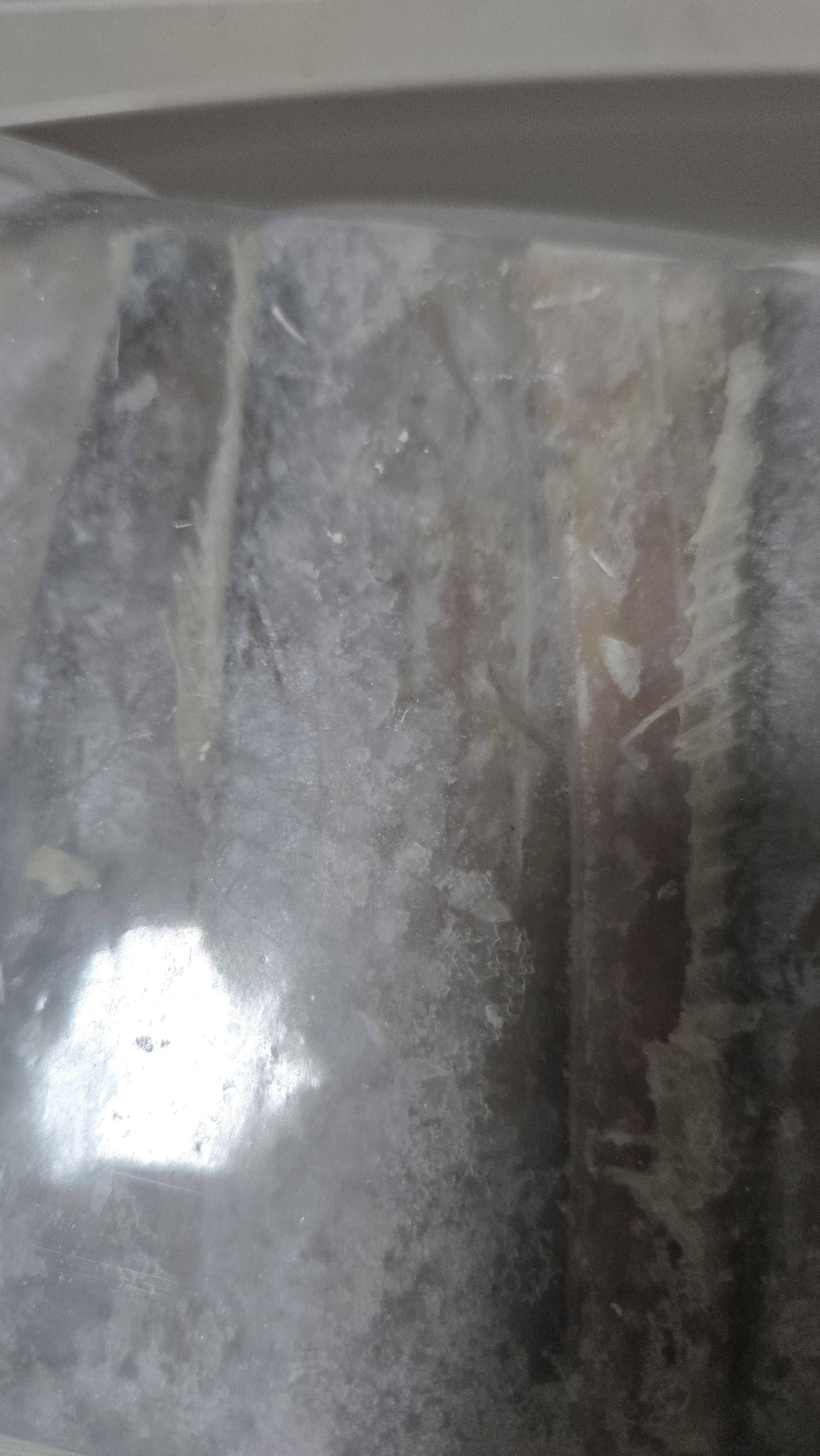 GUO LIAN国联水产 东海带鱼段2.4斤去头去尾国产海鲜生鲜鱼类开海季 实拍图