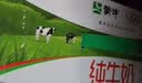 蒙牛【新鲜日期】全脂纯牛奶200ml*24盒 3.2g蛋白 家庭送礼囤货 实拍图