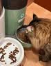 冠能猫粮 成猫猫粮鸡肉味10kg 全价猫粮 稳固免疫【宠物金选】 实拍图