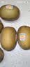 佳沛（zespri）新西兰金奇异果22粒巨大原箱146-175g猕猴桃中秋节礼品送水果礼盒 实拍图