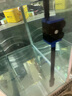 格池（GRECH）鱼缸过滤器上部过滤三合一抽水泵水族箱冲氧净水增氧过滤泵滴流盒 12W(适合长:60-80cm鱼缸)不带滤盒 实拍图
