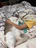普安特宠物猫咪驱虫药驱虫体内外同驱跳蚤犬虱非泼罗尼滴剂爱滴克 实拍图