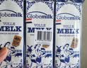荷高（Globemilk）全脂纯牛奶200ml*24 荷兰原装进口 高钙3.7乳蛋白 实拍图