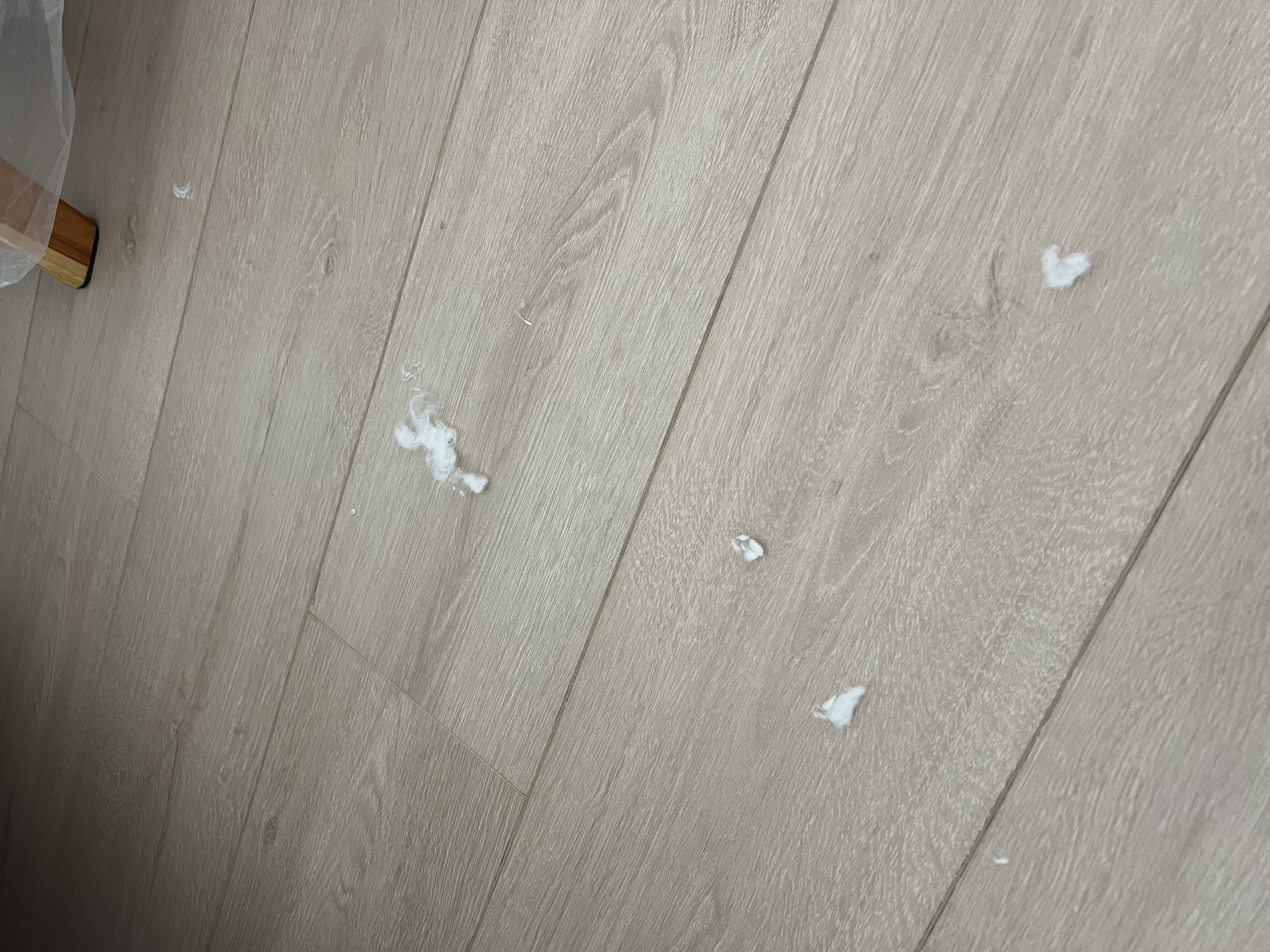 京东京造【里外全棉】100%新疆棉花被子四季通用纯棉被芯 春秋被2.2x2.4m 实拍图