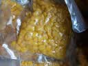 东北农嫂即食甜玉米粒低脂水果甜玉米粒系列真空装充氮可选餐饮榨汁烘焙 【26年头茬】有机即食甜玉米粒1.25kg(10袋) 实拍图