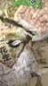 朱氏朱福记【新鲜抢1袋】25年新五香花生米山东特产烤熟蒜香奶香原味下酒250 【五香+蒜香】250g*4袋 实拍图